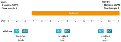 PalatinoseTM (Isomaltulose) and Prebiotic Inulin-Type Fructans Have Beneficial Effects on Glycemic Response and Gut Microbiota Composition in Healthy Volunteers—A Real-Life, Retrospective Study of a Cohort That Participated in a Digital Nutrition Program